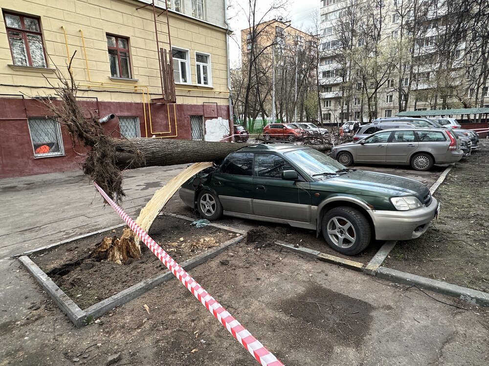 В Москве объявили желтый уровень опасности из-за ветра