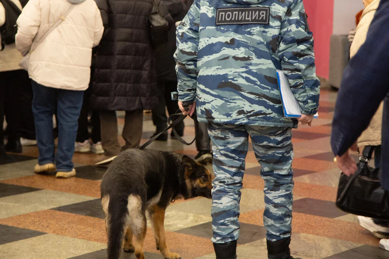 В Подмосковье задержали мужчину, снесшего кувалдой голову бюсту Сталина